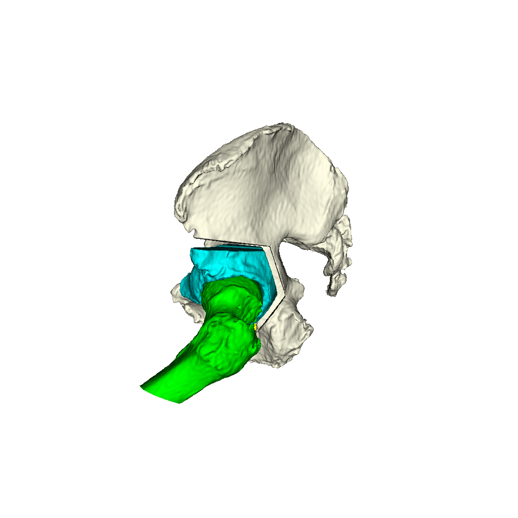 Example 3D Viz Relative Poses LAT View