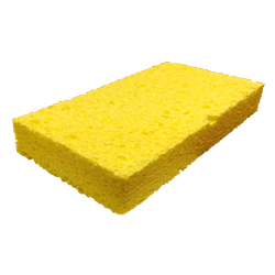 Sponge