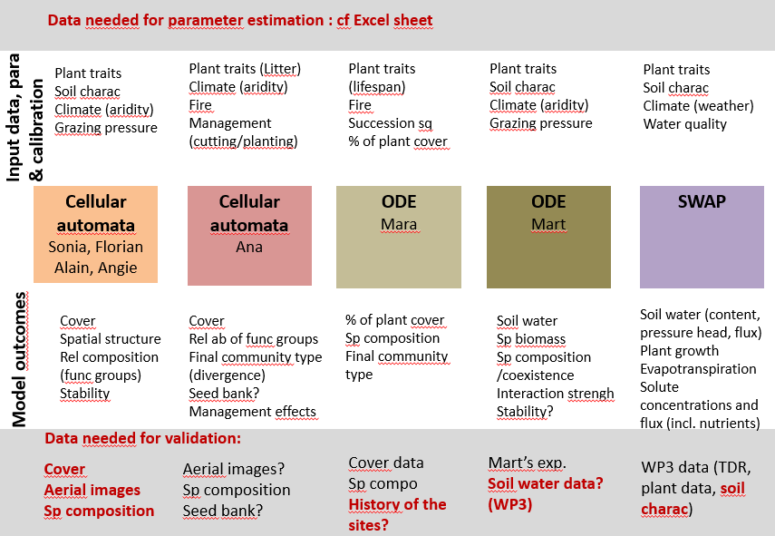 inputs and outputs of models